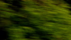 Cadillac Lyriq V 2026: rendimiento y artesanía americana