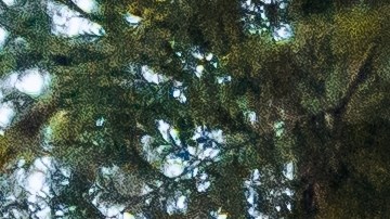 camionetas nuevas más baratas pickups 2025