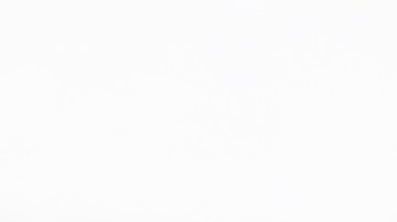 Guía completa para elegir el mejor limpiador de nieve para tu auto