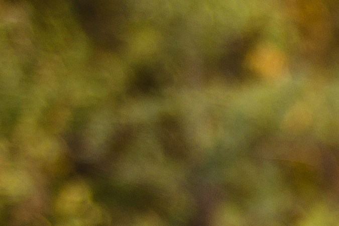 Cómo saber si mi carro tiene garantia de fabrica