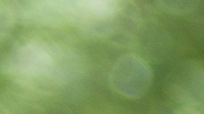 Conducir bajo efectos de drogas o alcohol en NY