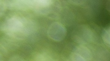 Conducir bajo efectos de drogas o alcohol en NY