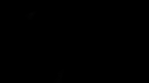 Qué es el detailing automotriz