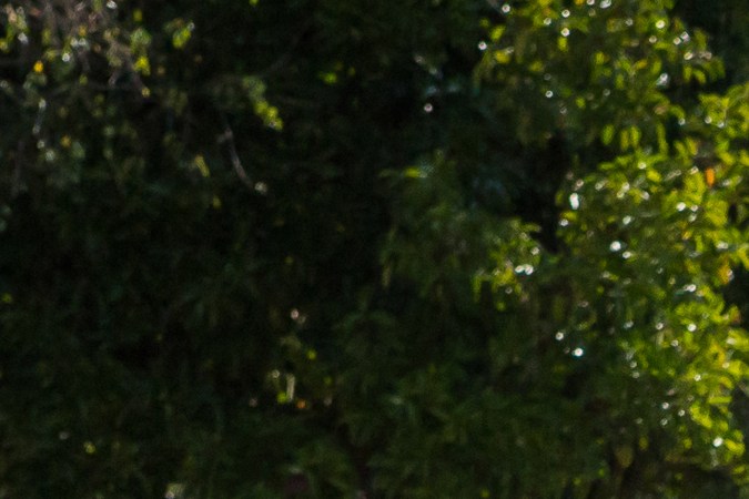 Lamborghini Diablo: el milagro de la marca en los años 90