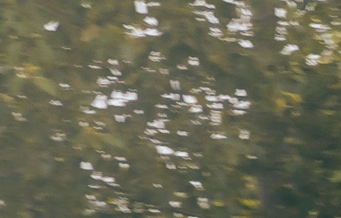 10 autos que superan la vida útil promedio de un vehículo