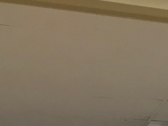 Homologar la licencia de conducir en usa 