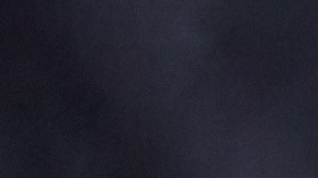 Inspecciones de vehículos en New York en 2025