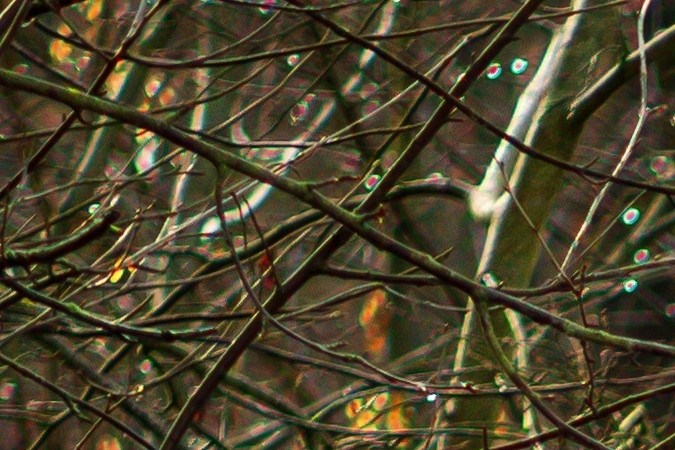 mejores pick up en estados unidos