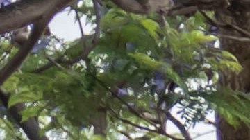 El futuro del automóvil: ¿Hay lugar para los pequeños?