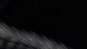 Qué hacer si vendí el carro y me llega una multa del nuevo dueño