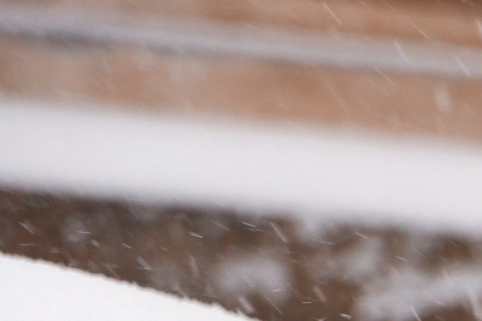 Cómo descongelar el parabrisas sin dañarlo: el método viral