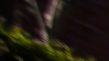 Placas comerciales en Estados Unidos