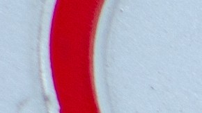 Placas de autos en Nevada