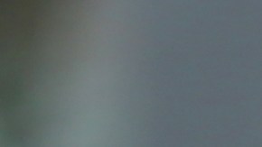 Razones por las que puedes perder tu licencia en NY