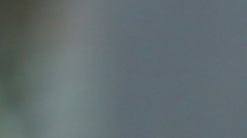 Razones por las que puedes perder tu licencia en NY