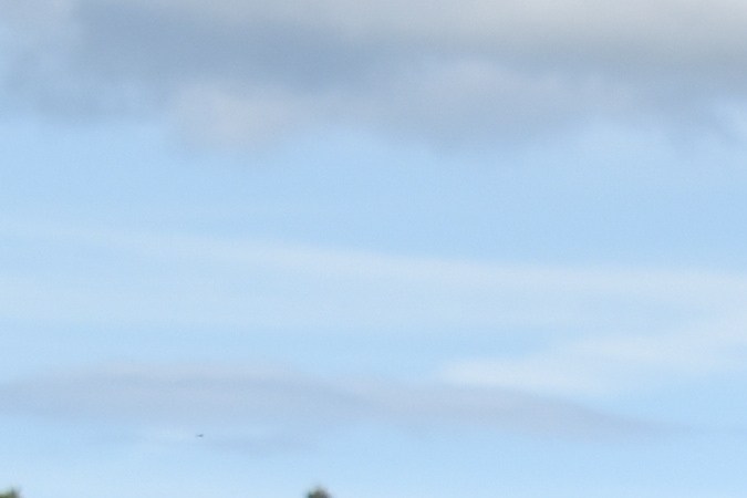 Saleen S7: la historia del gran superdeportivo americano