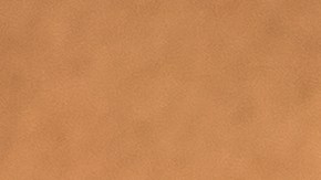 Seguros ecoamigables para autos eléctricos