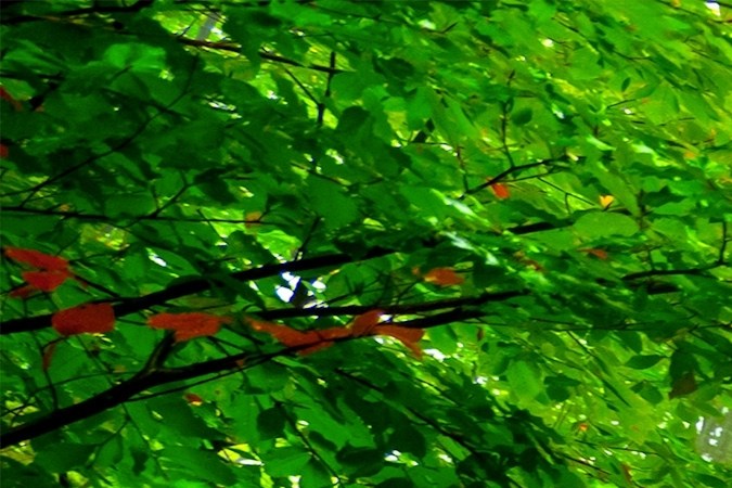 Cómo mantenerte centrado en tu carril