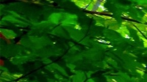 Cómo mantenerte centrado en tu carril