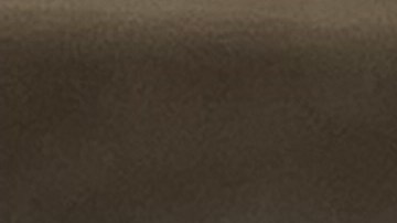 renovación de sticker de placas north carolina