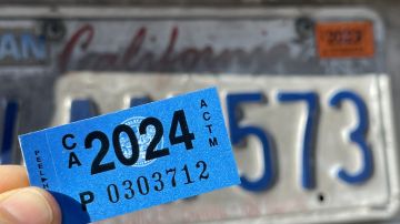 renovación de sticker de placas north carolina