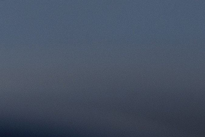 renovación de sticker de placas north carolina