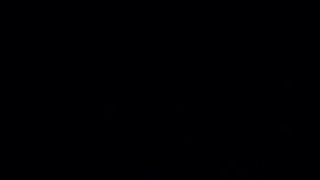 sticker de placa en New Jersey