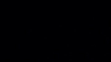 sticker de placa en New Jersey