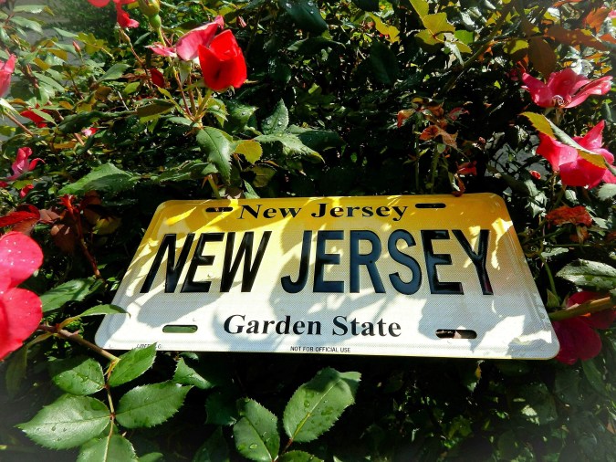 sticker de placa en New Jersey
