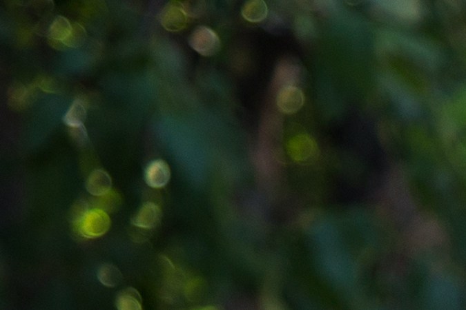 Cuál es el tiempo de reaccion de un conductor medio