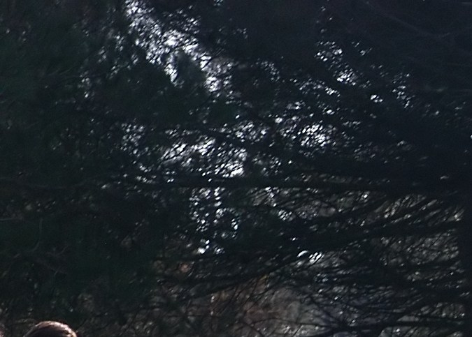 Carros históricos que han ganado el Rally Dakar