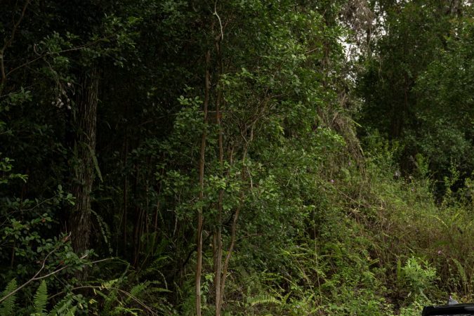 Toyota retira 100.000 Tacoma por falla en los frenos