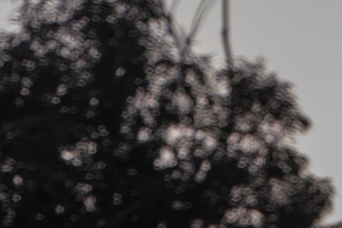 Subaru Forester hybrid 2025: más eficiente para viajar