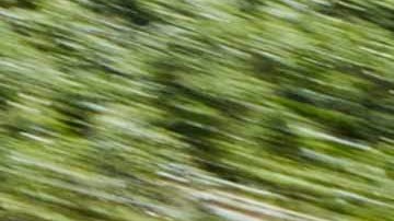 Subaru Forester hybrid 2025: más eficiente para viajar