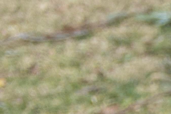 Subaru Forester hybrid 2025: más eficiente para viajar