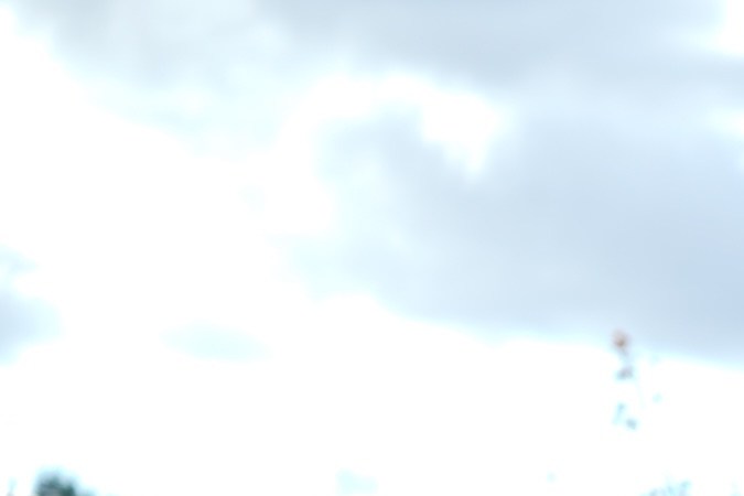 Desert Power Wagons camioneta