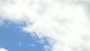 Desert Power Wagons camioneta