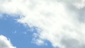 Desert Power Wagons camioneta