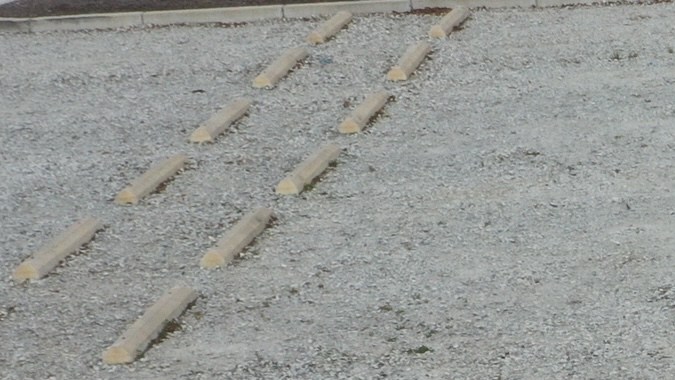 Desert Power Wagons camioneta