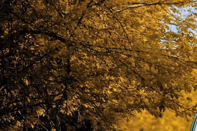 BAIC BJ60: descubre el Jeep Land Cruiser chino