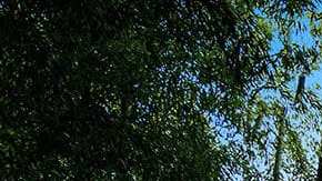 BAIC BJ60: descubre el Jeep Land Cruiser chino