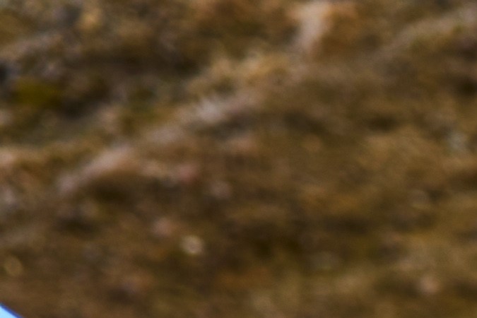 BMW Centerlock: las ruedas que cuestan más de $20,000