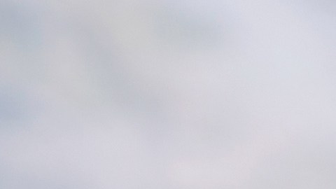BMW Centerlock: las ruedas que cuestan más de $20,000