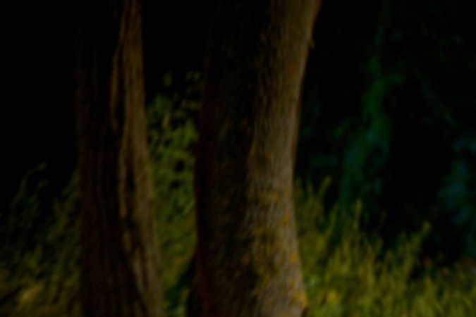 7 autos que ya no serán de transmisión manual