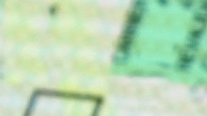 IDP: el permiso internacional que necesitas para conducir en USA