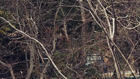 Suzuki Jimny x Renault 5 Turbo: el restomod más inesperado