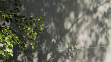 Kia EV4: primeras imágenes del futuro eléctrico