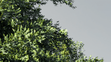 Kia muestra un adelanto de sus próximas furgonetas EV