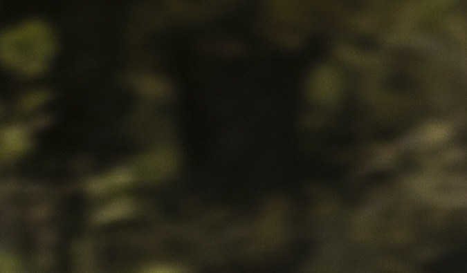 "The Rock" y sus joyas sobre ruedas: 6 vehículos de ensueño