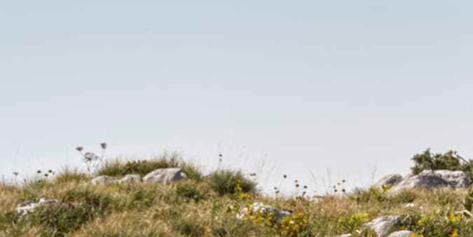 Qué son los autos superhíbridos: la nueva generación de EVs